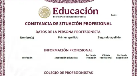 Ejemplo de una Constancia de Situación Profesional.