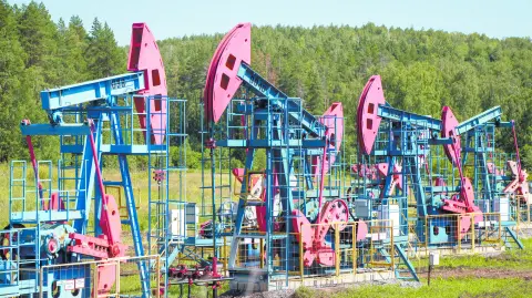 Descripción automática