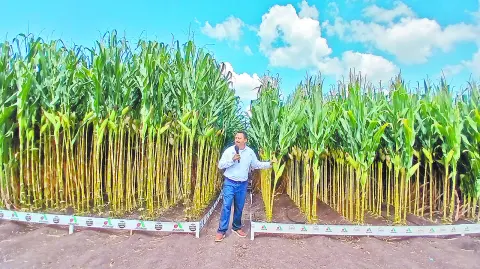 Descripción automática