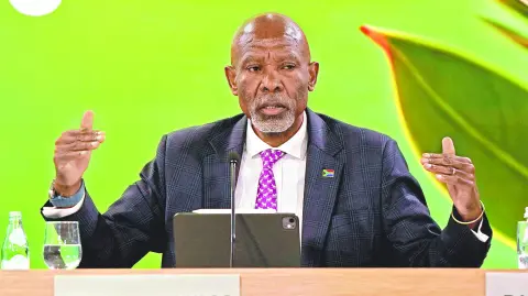 Descripción automática