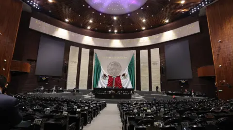 Con 349 votos a favor, 128 en contra y cero abstenciones, las y los legisladores aprobaron en lo general la LIF 2026, con lo cual empezaron con la discusión en lo particular de las reservas.

Para más información del tema, visita: https://www.eleconomista.com.mx/economia/diputados-aprueban-general-ley-ingresos-reclamos-deuda-falta-reforma-fiscal-20251017-782355.html

¡Síguenos en nuestras redes sociales para mantenerte informado!

Twitter: https://twitter.com/eleconomista 
Facebook: https://www.facebook.com/ElEconomista.mx
Instagram: https://www.instagram.com/eleconomistamx
LinkedIn: https://www.linkedin.com/company/el-economista/
T

#ElEconomista #EETV