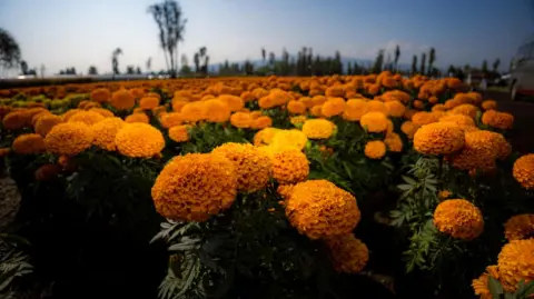 Foto: Gobierno de CDMX