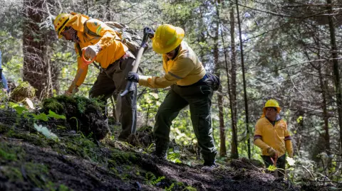 Miembros de lA Comisión de Recursos Naturales y Desarrollo Rural (CORENADR) participaron en las jornadas de búsqueda. Foto: AFP