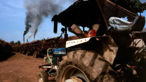 El gobierno reconoció que este flujo irregular ha impactado la formación de precios y restado certidumbre al mercado interno.

Para más información del tema, visita: https://www.eleconomista.com.mx/empresas/importaciones-irregulares-contrabando-presionan-precios-azucar-caneros-20251026-783533.html

¡Síguenos en nuestras redes sociales para mantenerte informado!

Twitter: https://twitter.com/eleconomista 
Facebook: https://www.facebook.com/ElEconomista.mx
Instagram: https://www.instagram.com/eleconomistamx
LinkedIn: https://www.linkedin.com/company/el-economista/
T

#ElEconomista #EETV