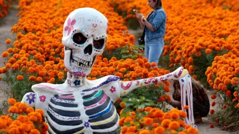 La comercialización durante el Día de Muertos, que contempla una periodicidad del 26 de octubre al 2 de noviembre, mantiene una tendencia al alza año con año, lo que demuestra el auge de la festividad y la importancia de la tradición mexicana en el mundo.

Para más información del tema, visita: https://www.eleconomista.com.mx/empresas/concanaco-espera-derrama-economica-49-500-mpd-dia-muertos-20251026-783552.html

¡Síguenos en nuestras redes sociales para mantenerte informado!

Twitter: https://twitter.com/eleconomista 
Facebook: https://www.facebook.com/ElEconomista.mx
Instagram: https://www.instagram.com/eleconomistamx
LinkedIn: https://www.linkedin.com/company/el-economista/
T

#ElEconomista #EETV