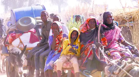 Descripción automática