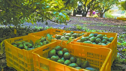 Descripción automática