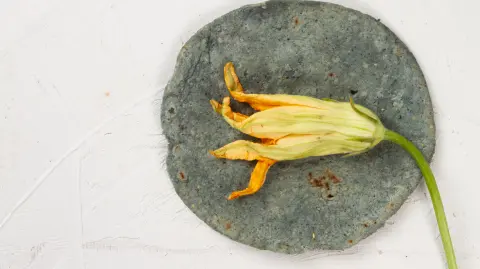 Flor de calabaza: beneficios, propiedades y legado prehispánico de este tesoro mexicano