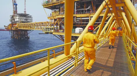 Descripción automática