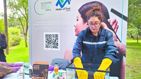 Descripción automática