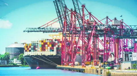 Descripción automática