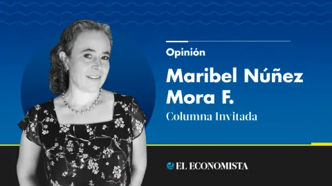 Maribel Núñez Mora F. | Columna Invitada