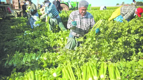 Descripción automática