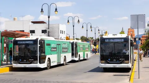 Foto: Gobierno de San Luis Potosí.