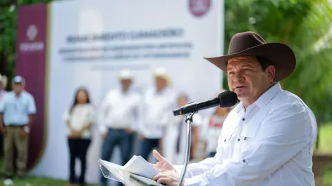 Información oficial