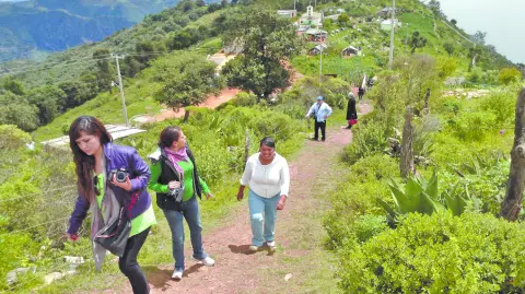 Descripción automática