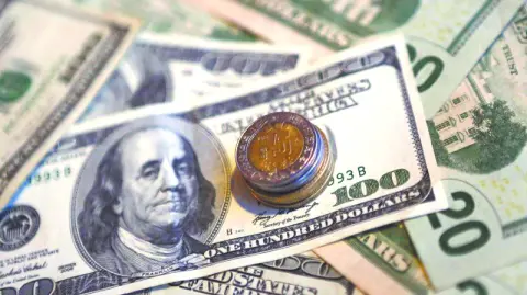 Descripción automática