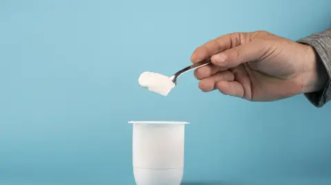 Yogurt