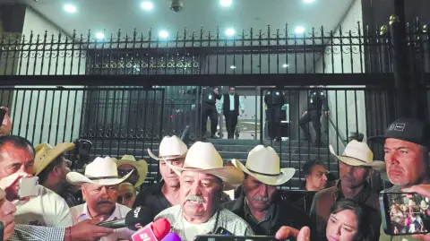 Descripción automática