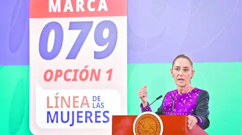 Descripción automática