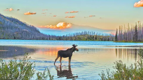 ¿Sabías qué...? Big Sky, Montana registró un aumento del 92% en búsquedas de viajes en la plataforma Expedia Group y aparece como “Destino del Año 2026”. Montana limita con Canadá al norte, Dakota del Norte y Dakota del Sur al este, Wyoming al sur e Idaho al oeste.