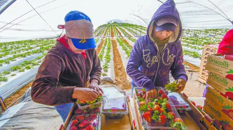 Descripción automática