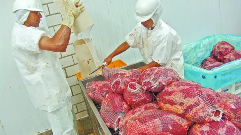 SAO PAULO, BRAZIL, MARCH 09, 2006. Meat processing in food industry