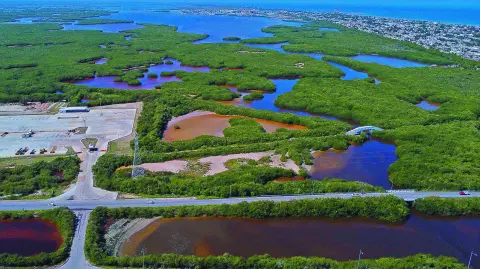 La nueva Ley General y la reforma a la Ley de Aguas Nacionales se discutirán hoy en la Comisión de Recursos Hidráulicos de la Cámara de Diputados. Por otro lado, productores de Chihuahua, Aguascalientes, Guanajuato y Baja California Sur, luego de reunirse con legisladores de oposición, advirtieron que alistan movilizaciones con tractores como forma de presión para ser escuchados.