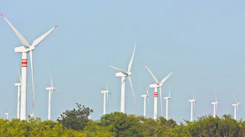 Descripción automática