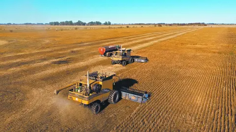 Descripción automática