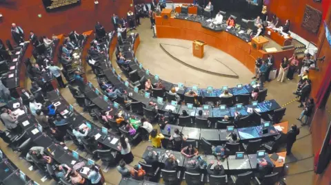 El proyecto, votado en medio de presiones comerciales de Estados Unidos, fue aprobado con 76 votos a favor y cinco en contra.

Para más información del tema, visita: https://www.eleconomista.com.mx/empresas/senadores-aprueban-reformas-ley-arancelaria-aumentar-tarifas-china-otros-paises-20251210-790680.html

¡Síguenos en nuestras redes sociales para mantenerte informado!

Twitter: https://twitter.com/eleconomista 
Facebook: https://www.facebook.com/ElEconomista.mx
Instagram: https://www.instagram.com/eleconomistamx
LinkedIn: https://www.linkedin.com/company/el-economista/

#ElEconomista #LeyArancelaria #China