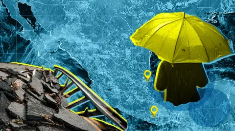 Sólo dos ciclones impactaron a México y otros cinco se aproximaron bastante. No obstante, esta temporada ayudó a abastecer las presas de todo el país.

Para más información del tema, visita: https://www.eleconomista.com.mx/arteseideas/temporada-lluvias-huracanes-2025-registro-31-ciclones-tropicales-20251213-791141.html 

¡Síguenos en nuestras redes sociales para mantenerte informado!

Twitter: https://twitter.com/eleconomista 
Facebook: https://www.facebook.com/ElEconomista.mx
Instagram: https://www.instagram.com/eleconomistamx
LinkedIn: https://www.linkedin.com/company/el-economista/

#ElEconomista #Huracanes #TormentaTropical