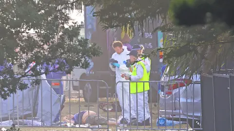 Descripción automática