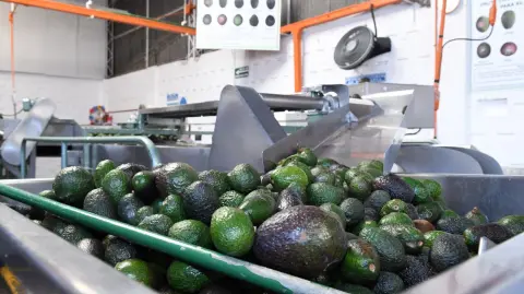 Foto: Gobierno de Michoacán