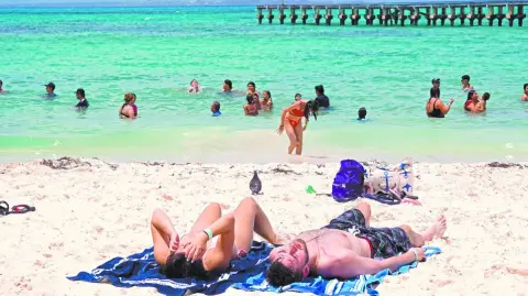 El crecimiento se explica principalmente por actividades relacionadas con los servicios de transporte de pasajeros, que tuvieron una variación anual de 5.6%; los servicios culturales, de 4.2 %, y los servicios de alojamiento, de 1.2 %”, explicó el Inegi.

Para más información del tema, visita: https://www.eleconomista.com.mx/empresas/turismo-aporto-8-7-pib-nacional-2024-inegi-20251218-791918.html

¡Síguenos en nuestras redes sociales para mantenerte informado!

Twitter: https://twitter.com/eleconomista 
Facebook: https://www.facebook.com/ElEconomista.mx
Instagram: https://www.instagram.com/eleconomistamx
LinkedIn: https://www.linkedin.com/company/el-economista/

#ElEconomista #EETV