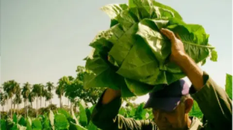Tabacalera de García.