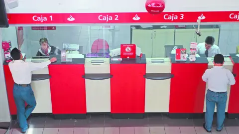 Descripción automática