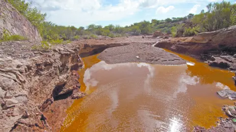 Descripción automática