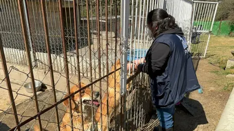 Foto: Gobierno de la Ciudad de México