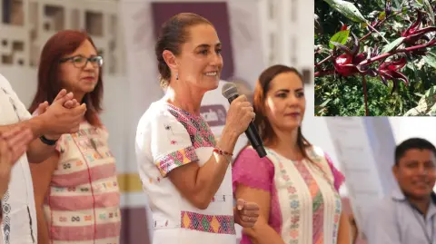 Presidenta Claudia Sheinbaum de gira por  Atoyac de Álvarez, Guerrero.