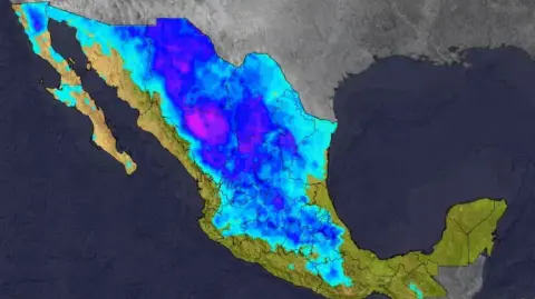 El SMN recomienda a la población mantenerse atenta a los avisos oficiales, extremar precauciones ante el frío, lluvias intensas y vientos fuertes, y atender las indicaciones de Protección Civil, especialmente en zonas montañosas y costeras.

Para más información del tema, visita: https://www.eleconomista.com.mx/politica/segunda-tormenta-invernal-frente-frio-27-marcaran-inicio-semana-lluvias-intensas-frio-extremo-20260111-794768.html

¡Síguenos en nuestras redes sociales para mantenerte informado!

Twitter: https://twitter.com/eleconomista 
Facebook: https://www.facebook.com/ElEconomista.mx
Instagram: https://www.instagram.com/eleconomistamx
LinkedIn: https://www.linkedin.com/company/el-economista/
T

#ElEconomista #EETV