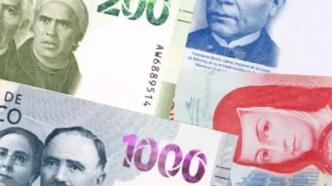 Durante los últimos cinco días registra una apreciación acumulada de 33.47 centavos, equivalente a 1.86 por ciento.

Para más información del tema, visita: https://www.eleconomista.com.mx/mercados/peso-mexicano-avanza-frente-dolar-quinta-sesion-consecutiva-20260115-795497.html

¡Síguenos en nuestras redes sociales para mantenerte informado!

Twitter: https://twitter.com/eleconomista 
Facebook: https://www.facebook.com/ElEconomista.mx
Instagram: https://www.instagram.com/eleconomistamx
LinkedIn: https://www.linkedin.com/company/el-economista/
T

#ElEconomista #EETV