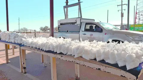 Descripción automática