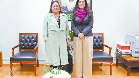 Descripción automática