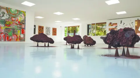 Descripción automática