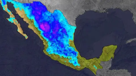 El frente frío 29 y su masa de aire polar mantendrán un ambiente de frío a gélido en gran parte del país, con lluvias fuertes, evento de Norte y posible caída de nieve en zonas montañosas.

Para más información del tema, visita: https://www.eleconomista.com.mx/politica/semana-gelido-frente-frio-29-traera-heladas-lluvias-evento-norte-20260116-795664.html 

¡Síguenos en nuestras redes sociales para mantenerte informado!

Twitter: https://twitter.com/eleconomista 
Facebook: https://www.facebook.com/ElEconomista.mx
Instagram: https://www.instagram.com/eleconomistamx
LinkedIn: https://www.linkedin.com/company/el-economista/

#ElEconomista #Clima #FrenteFrío