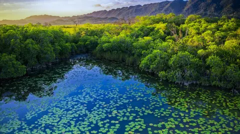 "El costo social azul" Foto: Octavio Aburto Cortesía