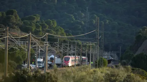 Especialistas advierten que los primeros minutos tras un accidente ferroviario son decisivos para atender a pacientes politraumatizados.