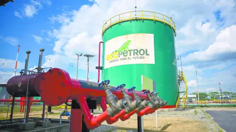 Descripción automática