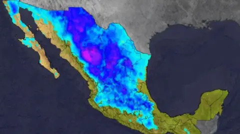 La tercera tormenta invernal, en combinación con el frente frío 30, mantendrá condiciones invernales severas durante el fin de semana; autoridades alertan por heladas, lluvias y vientos intensos.

Para más información del tema, visita: https://www.eleconomista.com.mx/politica/tercera-tormenta-invernal-frente-frio-30-marcaran-semana-lluvias-posibles-nevadas-20260123-796765.html

¡Síguenos en nuestras redes sociales para mantenerte informado!

Twitter: https://twitter.com/eleconomista 
Facebook: https://www.facebook.com/ElEconomista.mx
Instagram: https://www.instagram.com/eleconomistamx
LinkedIn: https://www.linkedin.com/company/el-economista/

#ElEconomista #EETV